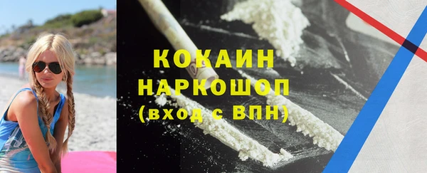гашиш Богданович