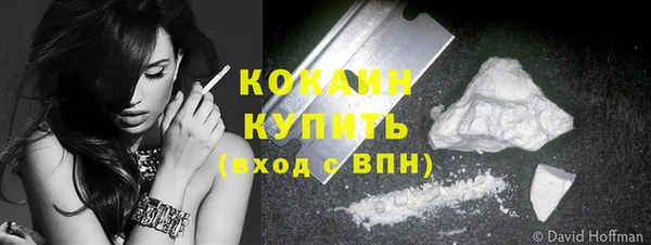 сатива Бородино
