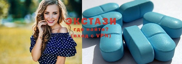 сатива Бородино