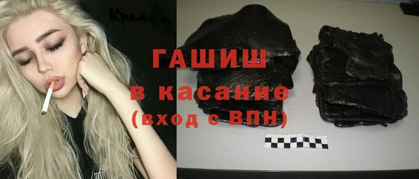 сатива Бородино