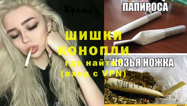 гашиш Богданович