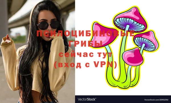 сатива Бородино