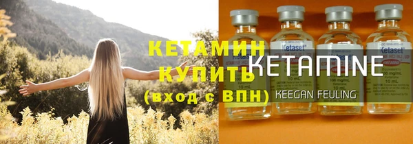 сатива Бородино
